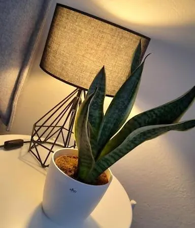 Апартаменти Civico 84