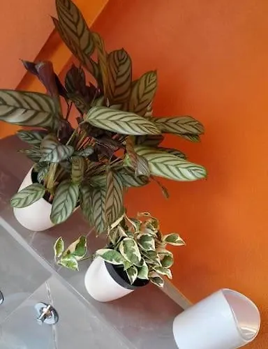 Civico 84 * 摩德纳